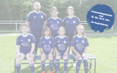 Spielerinnen (Jg. 2010/11) gesucht